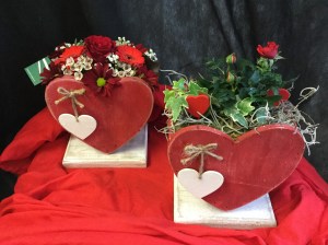 Valentinstagspflanzen