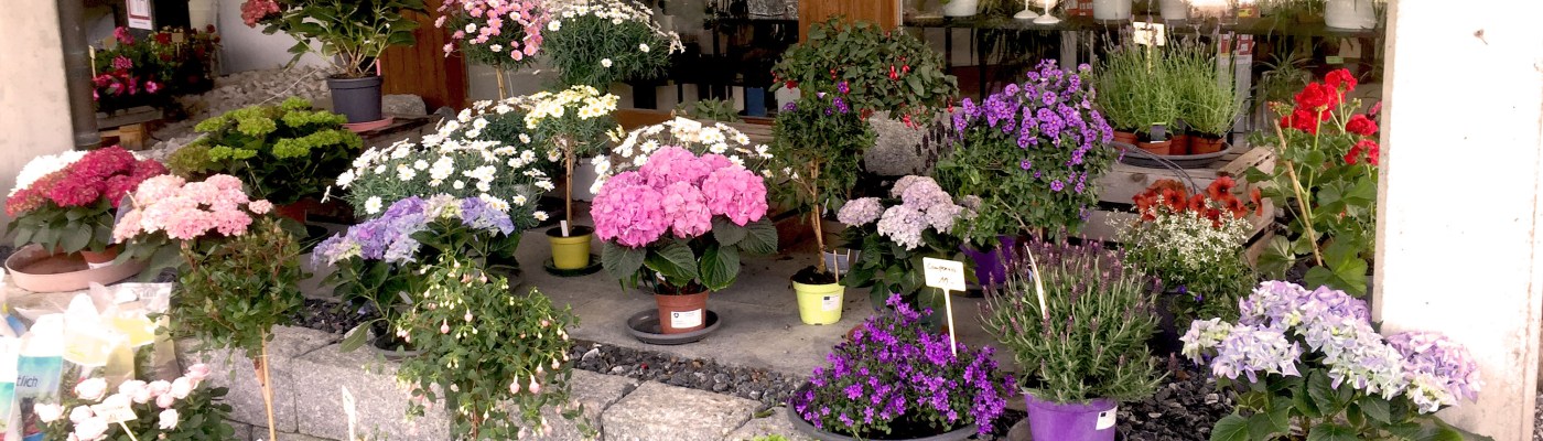 Blumenladen Eingang