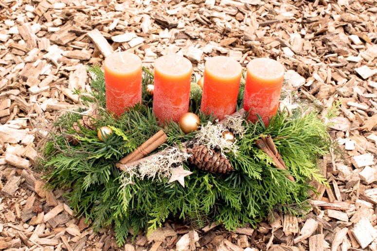 Adventsracette orange: 86-