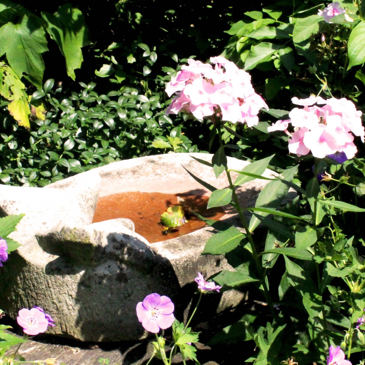 Bepflanzung: Villa Brugg