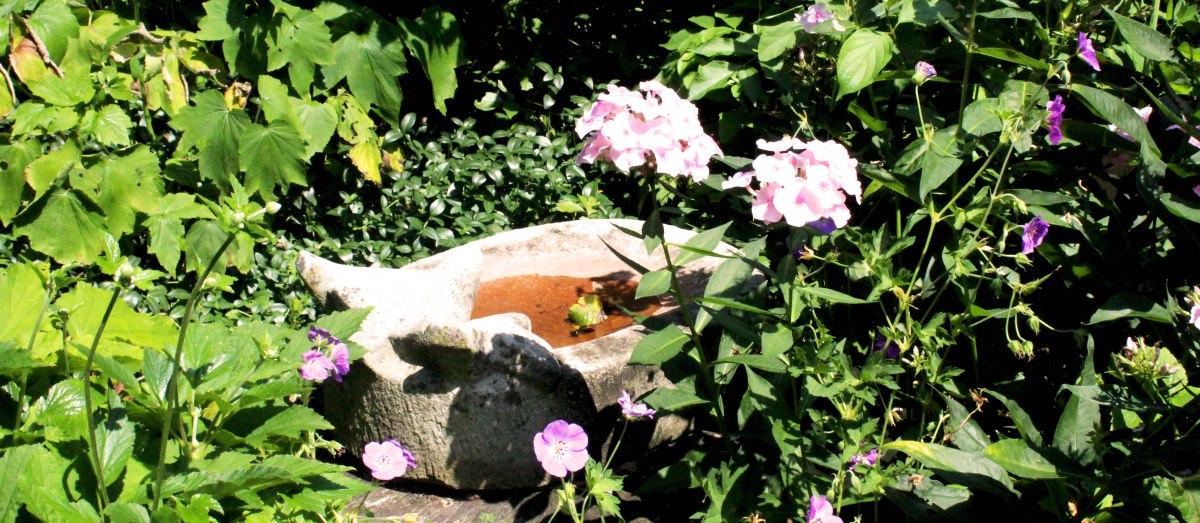 Bepflanzung: Villa Brugg